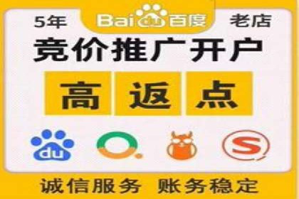 某品牌SEM广告投放的优化过程与效果